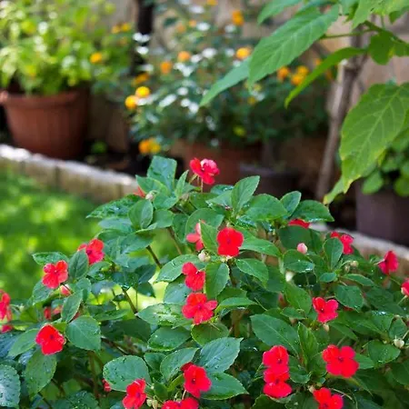 Guest house Guest House Blagaj