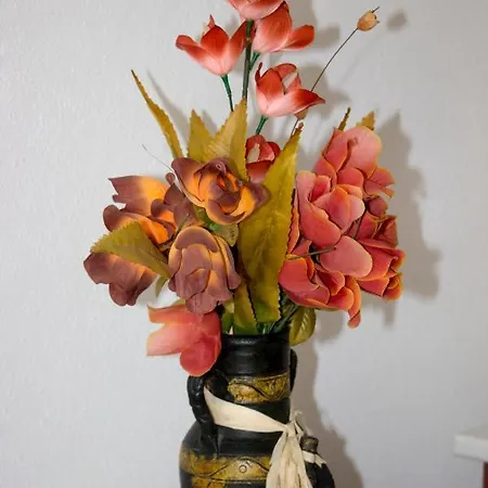 Guest House Blagaj Guest house