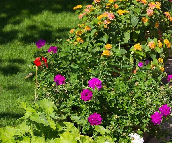 Guest house Guest House Blagaj Blagaj